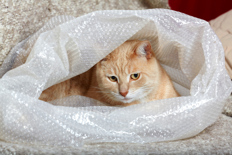 moving services packing